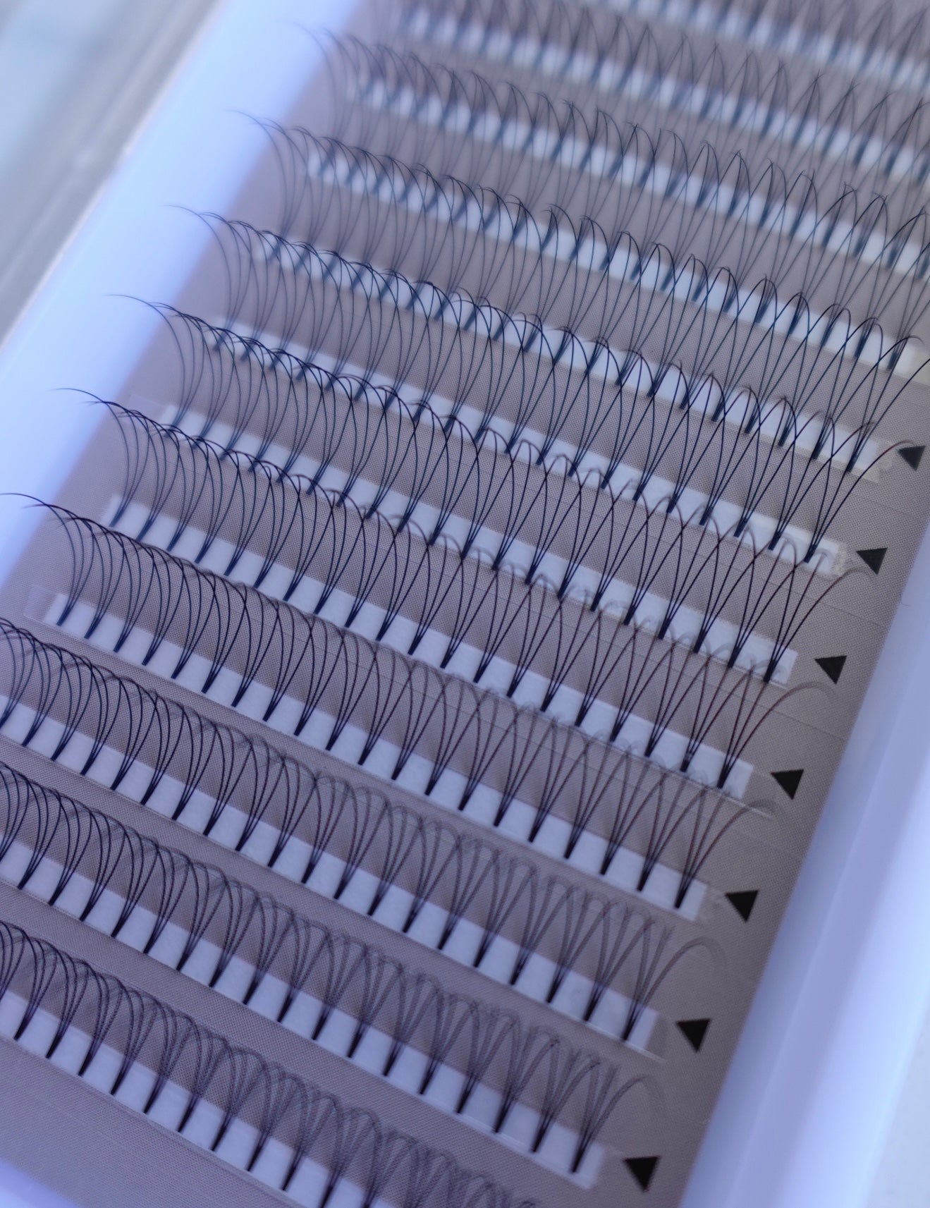 3D 0.10 D curl Short Stem 12 Row Tray